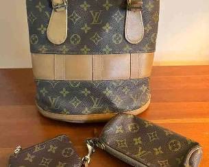 03 Louis Vuitton Monogram Purse