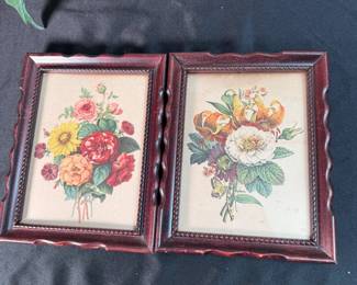 Botanical prints, mild foxing, 8" x 6"