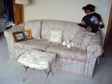 sleeper sofa