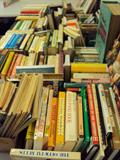 Tons of old books! Old children's books, too