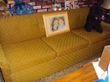 Funky vintage sleeper sofa