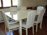 White contemporary dining set
