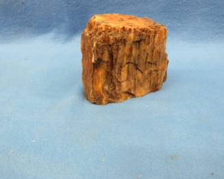 Lot 368. 4 lb. piece of petrified wood