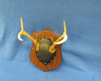 Lot 110. Antler mount