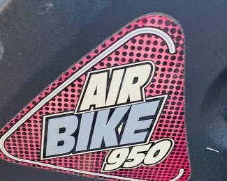 Stamina Air Bike 950.