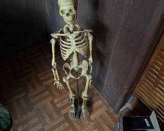 Small skeleton 