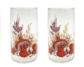 Vintage Mushroom Glasses