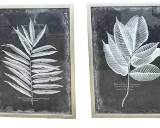 Foliage Wall Art Set