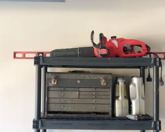 Electric chain saws 