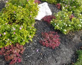 Plantings and rocks