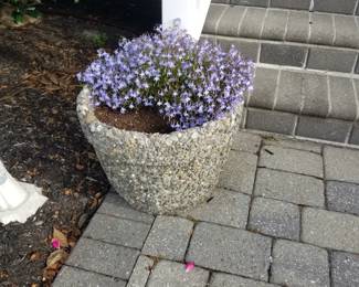 Concrete planter