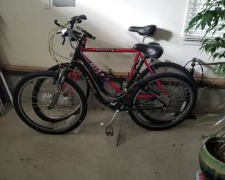 Beach cruisers and road bikes