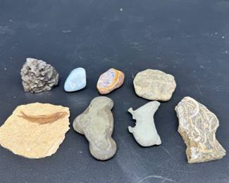 Minerals Fossils Feat. Opals