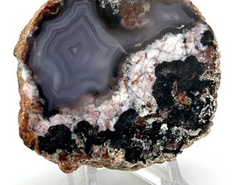 Mexican Coconut Half Spectacular