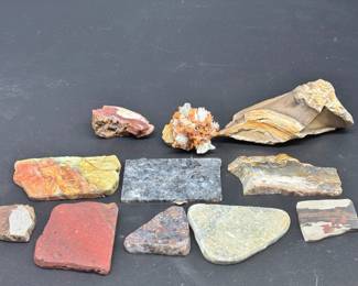 Mineral Collection Feat. Petrified Wood Red Jasper