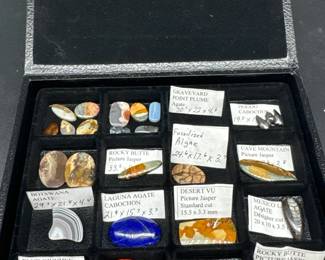 Mineral Collection With Case