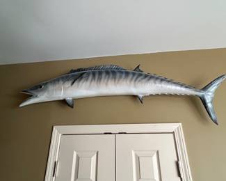 barracuda
