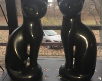 A sleek and sophisticated pair of black cats that many would welcome in their path. 