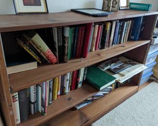 Bookcase and books