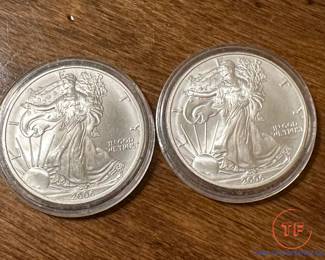 SILVER American Eagles