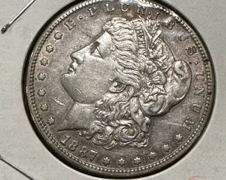 Morgan SILVER Dollars
