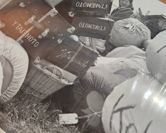 Pictures of that unfortunate era. 