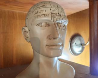Phrenology Head - Study of Mental and Capable Abilities. 