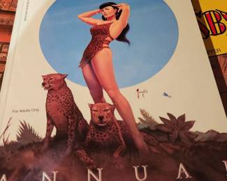 Betty Page Annual Book