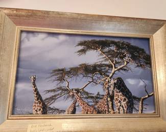 Highly  listed artist - Rod Frederick - 'A Tall Order' 