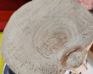 by Stetson Honyumptewa - 'Angwusi (Crow)