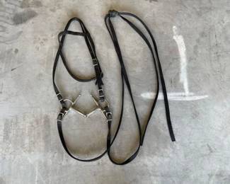 #3036 • Black Nylon Headstalls with Bit and Reins
