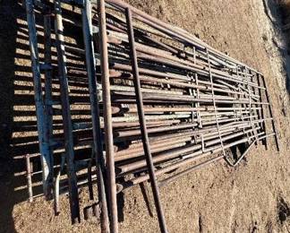 #251 • Seven Livestock Panels
