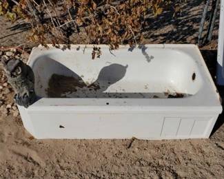 #1026 • Owl Decor & Porcelain Bathtub
