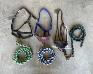 #3038 • (3) Halters and Lead Ropes
