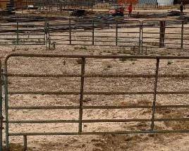 #24 • 50' Round Pen
