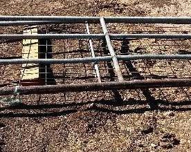 #276 • Two Gate Panels
