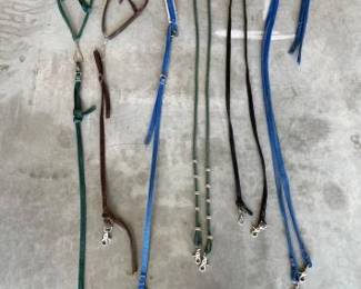 #3034 • (3) Tie Downs and (3) Reins
