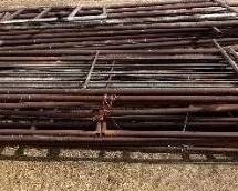 #243 • Nine Steel Pipe Gates
