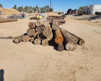 #1910 • 22 Telephone Poles
