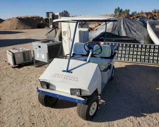 #194 • Electric Golf Cart
