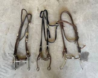 #3032 • (3) Headstalls and (3) Bits
