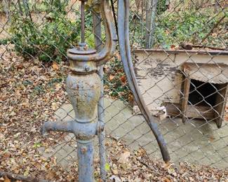 Ward water pump