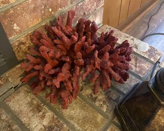 Coral on fireplace 