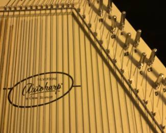 Autoharp with case