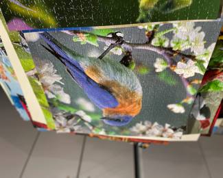 . . . bluebird puzzle