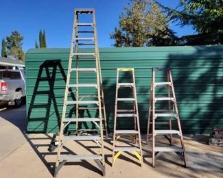 #5004 • 3 Werner Ladders
