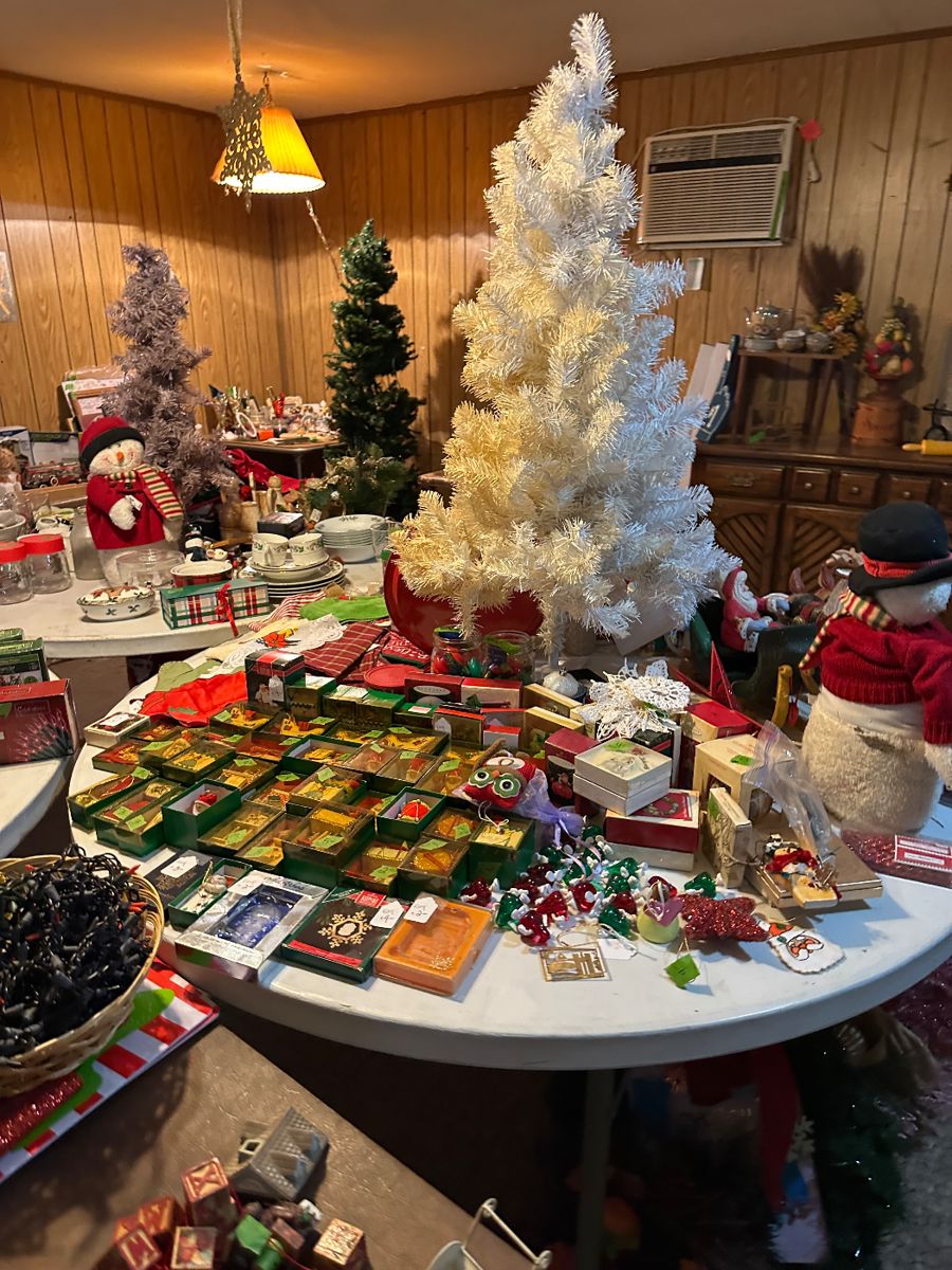 LAST EVER Whiteleghorn Sale in Westhoff, TX starts on 11/18/2023