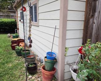 Various planters and pots