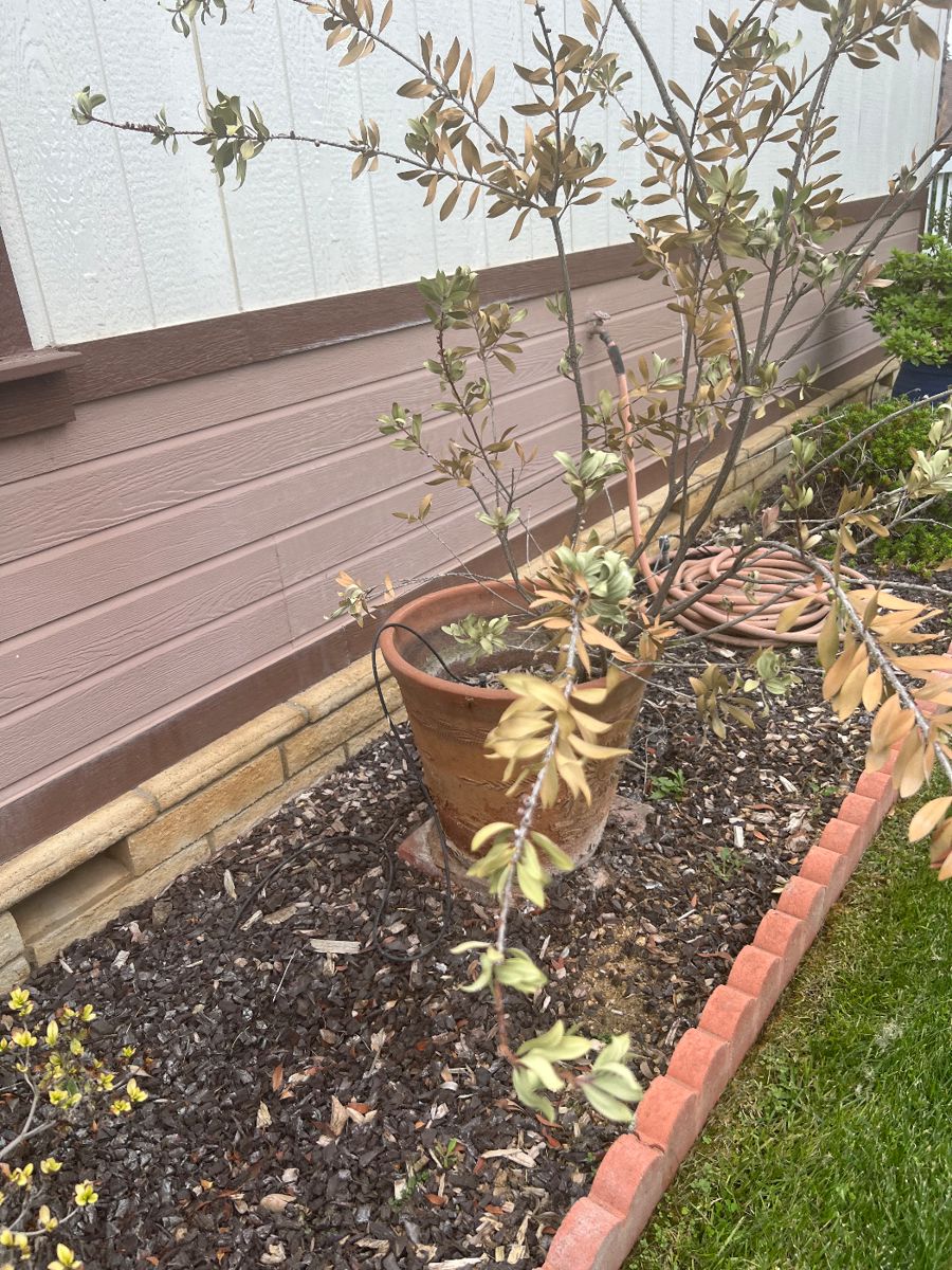 Plantation on the Lake Sale in Calimesa, CA starts on 11/16/2023