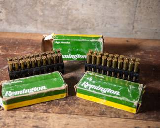 Remington Ammo Assortment
